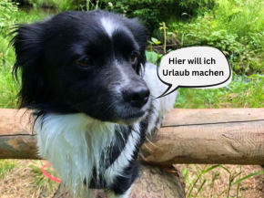 Tiny House - Auszeit im Wald am Badesee